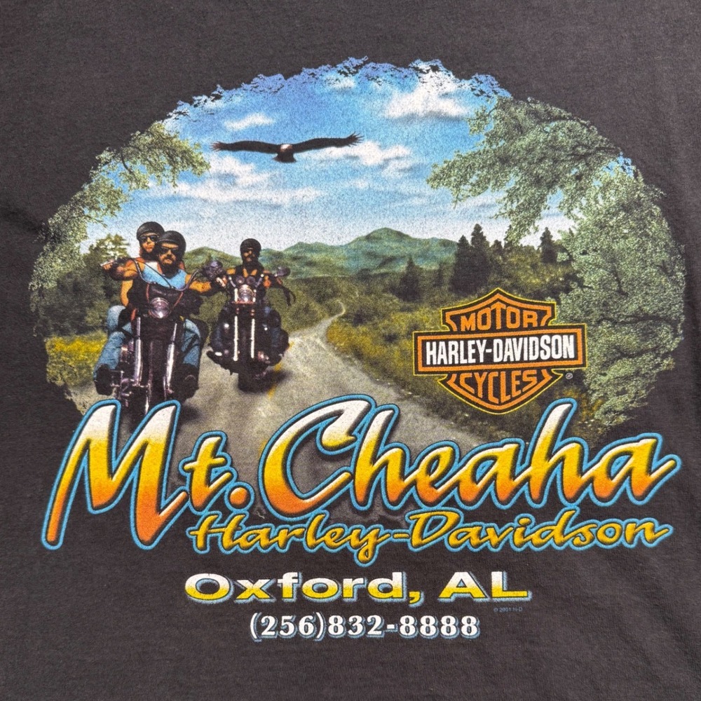 Harley Davidson Mt Cheaha Oxford‎ AL T Shirt Large Made USA Hanes Beefy - Picture 3 of 7